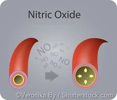 Non-protein Functions of Amino Acids (3)